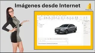 Usar imágenes de internet en Power BI en 2024
