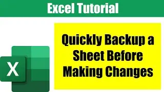 Quick Way to Make a Backup Copy of a Sheet in Excel | EXCEL TUTORIAL