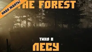 Первый взгляд. The Forest. Тихо в лесу