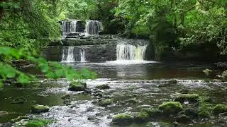 Forest Nature Sounds Relaxing Waterfall-Birds Chirping Sleeping Sound-Water & Birdsong Meditation