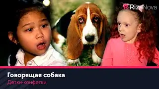 Детки-конфетки - Говорящая собака