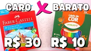 LÁPIS de COR CARO x BARATO | Faber-Castell X Leo & Leo