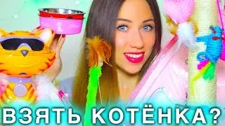 ЧТО НУЖНО ДЛЯ ПОЯВЛЕНИЯ КОТЕНКА - СТАРТОВЫЙ НАБОР ДЛЯ КОШКИ | Elli Di Pets - Cats