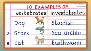 Name | Examples of VERTEBRATES AND INVERTEBRATES | 5 | 10 List of VERTEBRATES AND INVERTEBRATES