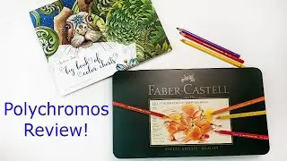 Faber Castell Polychromos 120 Set Coloured Pencils Review | Swatching | Drawing Lovebirds