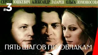 ПЯТЬ ШАГОВ ПО ОБЛАКАМ (3 серия) (2009) детектив