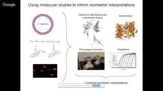 Paula Welander: Reconciling the lipid divide: sterol synthesis in the bacterial domain