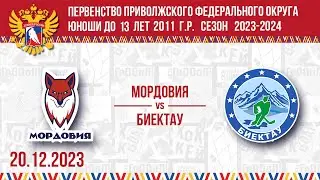 Мордовия -Биектау 20.12.2023г.