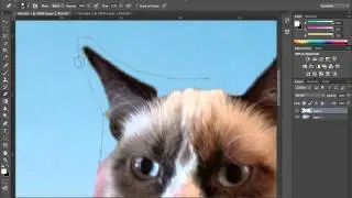 How to Remove the Background of an Image in Photoshop