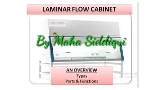 Laminar Flow Hood | An Overview | Types & Functions