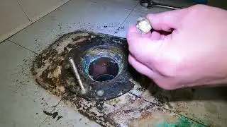 JOHNNY BOLT PULLS OUT OF TOILET FLANGE