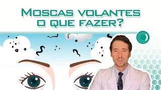 Moscas volantes aumentaram: o que fazer?