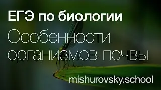 Приспособления организмов к обитанию в почве | Биология ЕГЭ