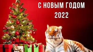 Подведем Итоги 2021г , С Наступающим 2022 .