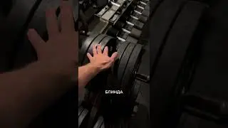 Мои девушки 