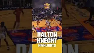 Dalton Knecht Highlights, Welcome To The Lakers