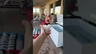 The ice war continues 