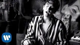 k.d. lang - Constant Craving (Video)