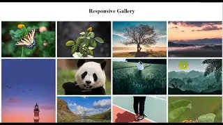 Responsive Image Gallery with HTML & CSS Only ||  CSS Flexbox