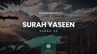 Surah Yaseen | Qari Tareq Mohammed | سورة يس | القارئ طارق محمد