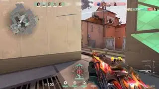 Sen Tenz ACE with Guardian