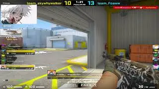 skywhywalker'y снова не зарегало с авп #skywhywalker #csgo