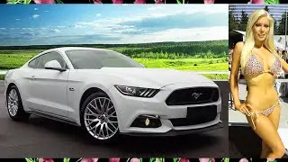 Knockout Beauties, Muscle Cars, & Hot Rods.
