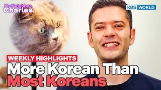 [Weekly Highlights] Psych! Samer Is Legally Korean😏 [My Neighbor Charles] | KBS WORLD TV 240610