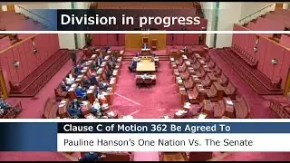 Senate Proceedings - Division: One Nation votes against the Government, the Opposition, and others