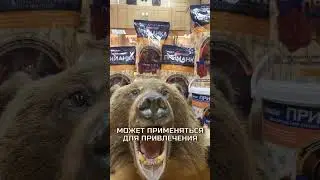 Приманки на кабана лося медведя оленя косулю и хищников Pro Hunter Fisher #shorts #приманка #охота