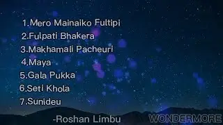 Nepali Songs Collection |Mero Manaiko Fultipi |Maya |Fulpati Bhakera|Cover -Roshan Limbu |WONDERMORE