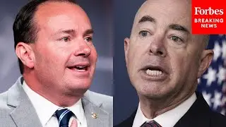 Mike Lee Accuses Mayorkas Of Bypassing 'Duly Enacted Laws' On The Southern Border