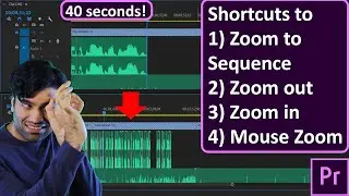 Zoom out Timeline Premiere Pro