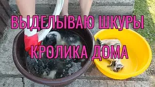 Выделка шкур кролика в домашних условиях