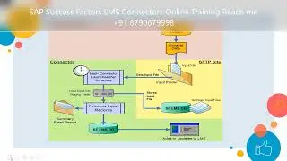 Introduction of SAP SuccessFactors LMS Connectors