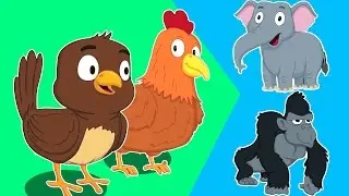 El sonido de los animales | los niños aprenden canciones en español | Animal Sounds Song