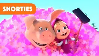 Masha and the Bear Shorties 👧🐻 NEW STORY 🤳 Selfie (Episode 10) 🔔 Masha and the Bear 2022