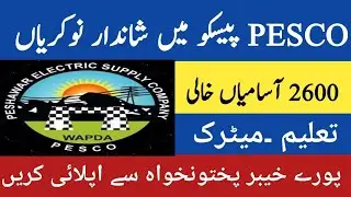 PESCO ALM 2600 + New Jobs 2021||PESCO ALM KMU Jobs 2021