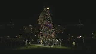 2023 US Capitol Christmas Tree lighting