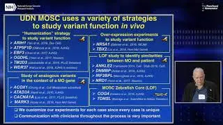 Model organisms (MO) facilitate rare disease diagnosis and therapeutic research - Hugo Bellen