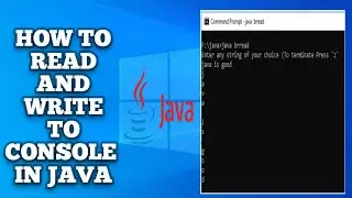 Java Reading and Writing to Console | Console Class in Java with Example | Java Full Course | #2