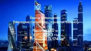 ✅️N17🐾Путешествие на 