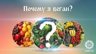 Почему я веган?