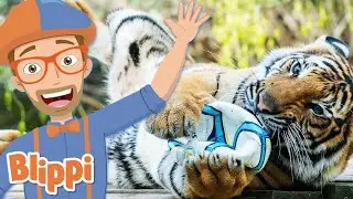 Zoo Animals | Blippi | Kids Learning Songs | Kids Videos | Baby Songs & Nursery Rhymes