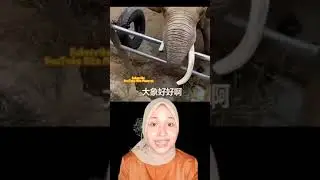 GAJAH PINTAR KEMBALIKAN SEPATU ANAK KECIL ?!! | Nita Mawarni #shorts