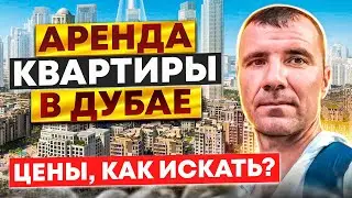 Аренда квартиры в Дубае в ОАЭ в 2024 году на 7-10 дней, 1, 3, 6 месяцев, 1 год: цены, где искать