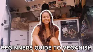 a beginners guide to veganism