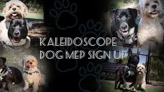 Kaleidoscope dog mep sign up! collaboration with @ChaoswithCamby