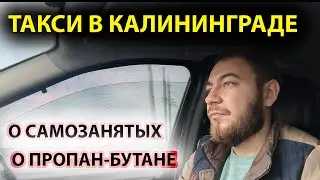 Такси Максим в Калининграде 2021 // Нужно ли быть самозанятым // Смена в такси