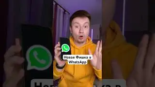 Новая Фишка в WhatsApp #Shorts